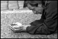 /album/fenykepgaleria/letoltes-5-jpg/